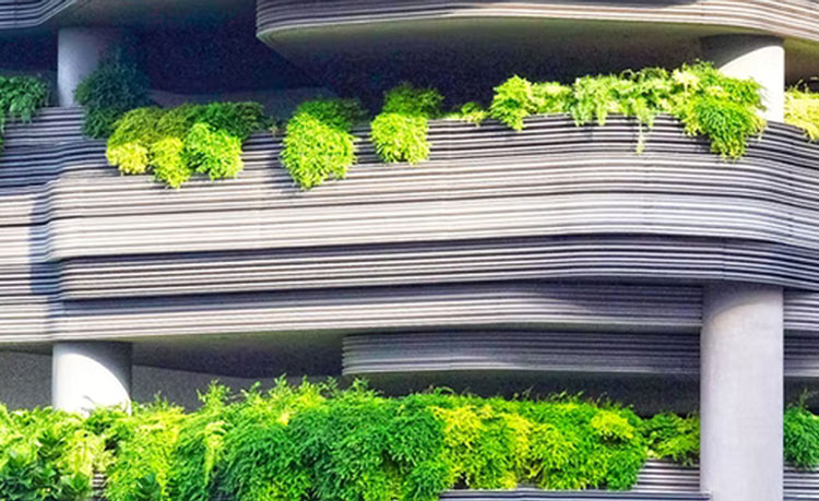 BG大游医疗_宁波维尔凯迪医疗器械有限公司